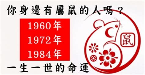 1960年屬鼠|【1960年五行屬什麼】1960年出生的屬鼠人一生運勢大解析！